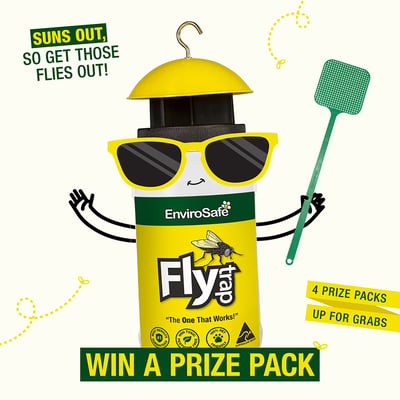 Fly Free Summer Campaign-Low res