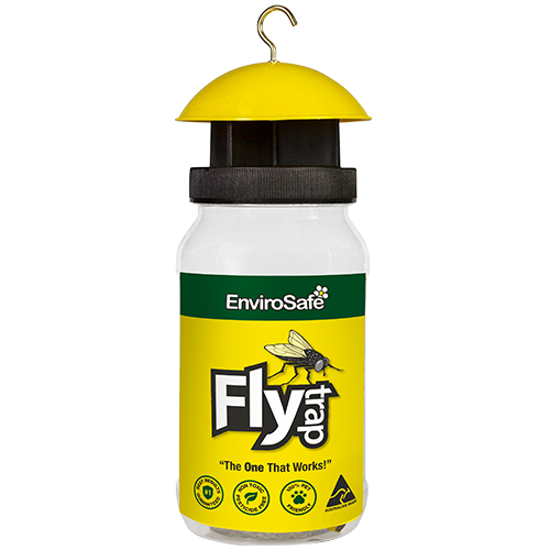 Fly trap 400X400-1